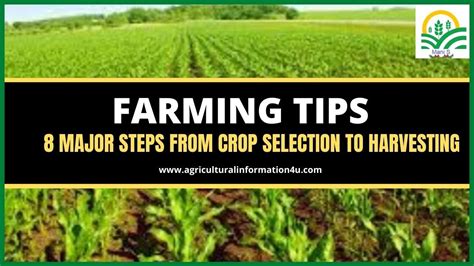 Your Farming Guide For Free.